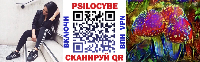 Галлюциногенные грибы Psilocybe наркота blacksprut ссылки Апшеронск
